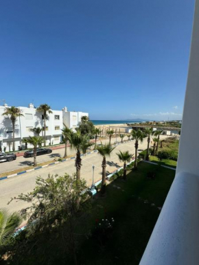 plage al amine